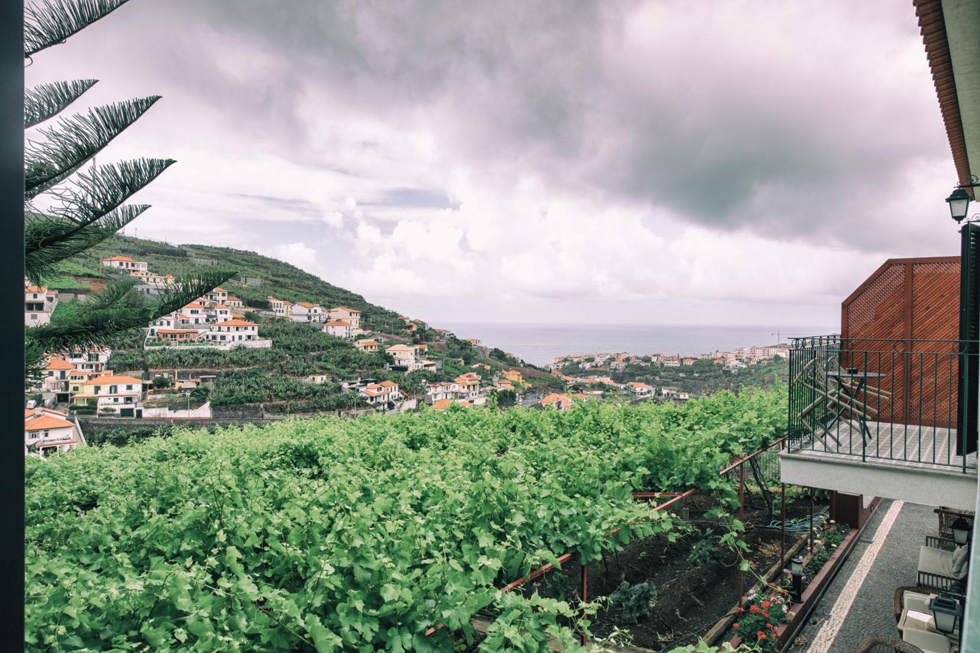 Quinta Da Saraiva Villa Câmara de Lobos Rum bild